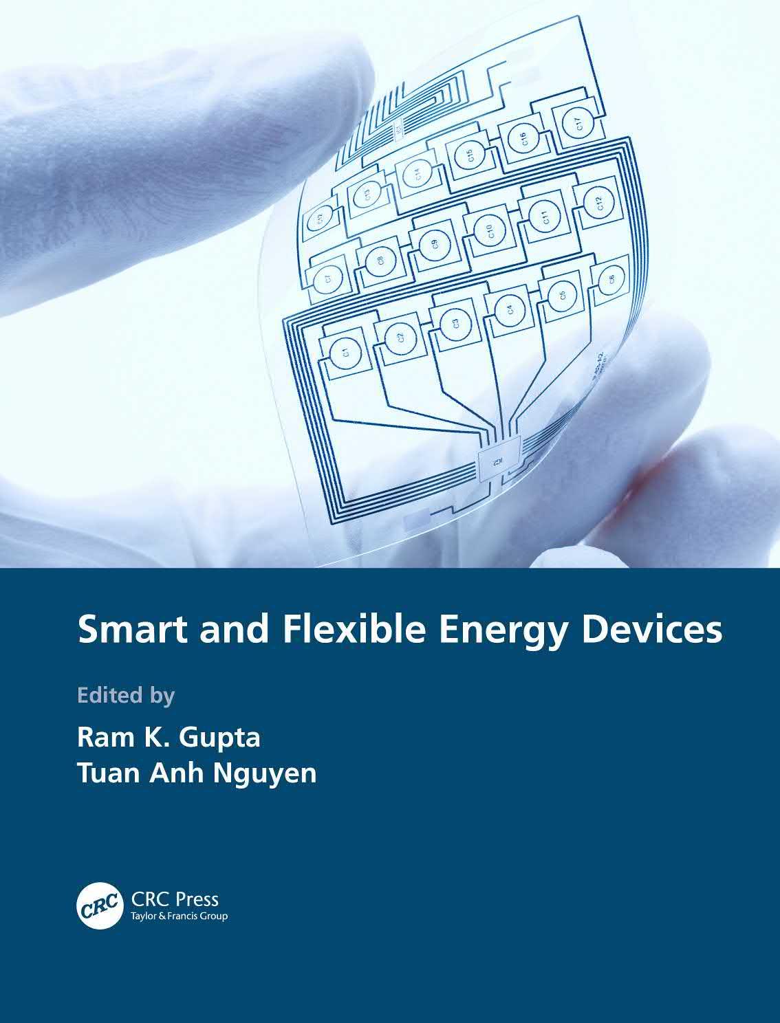 تالیف فصل دوازدهم کتاب Smart and Flexible Energy Devices با عنوان : Inorganic Materials for Flexible Solar Cells